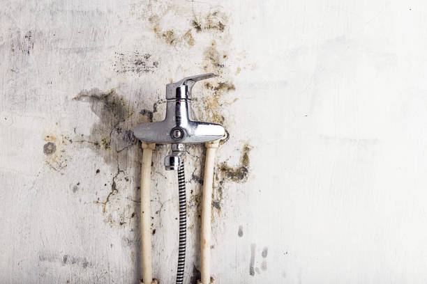 Best Mold Testing  in Santa Rosa, TX