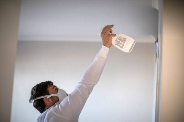 Best Fast Mold Removal  in Santa Rosa, TX