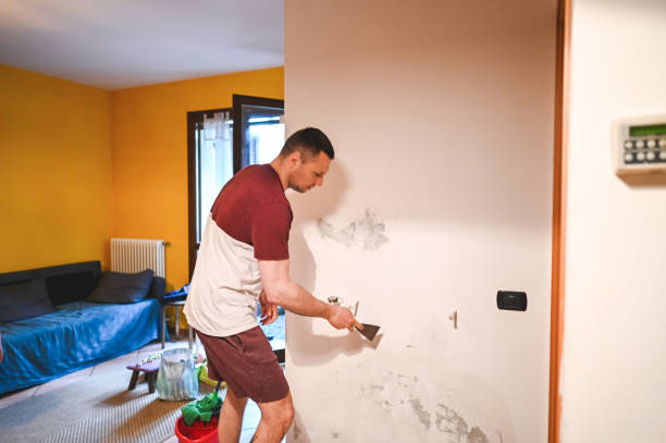 Best Mold Damage Repair  in Santa Rosa, TX