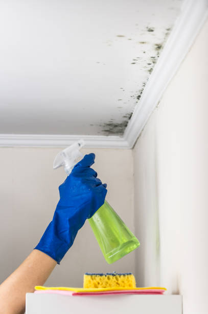 Water Damage Restoration in Santa Rosa, TX